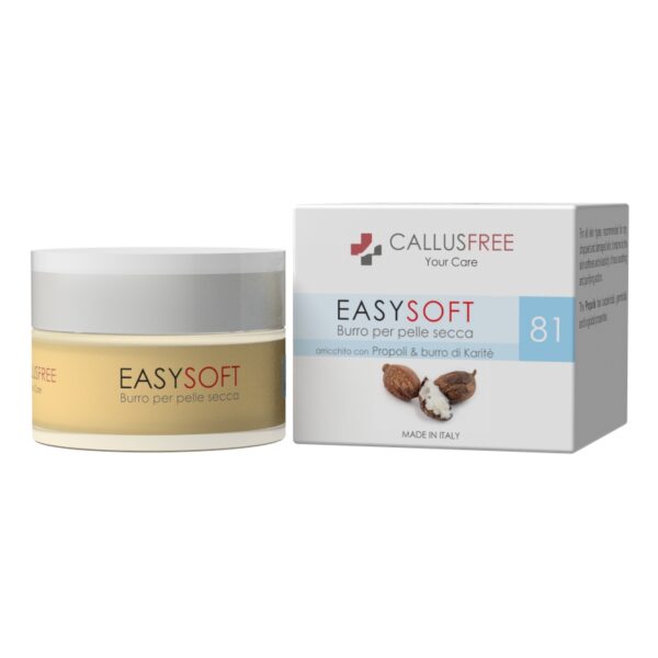 EASYSOFT