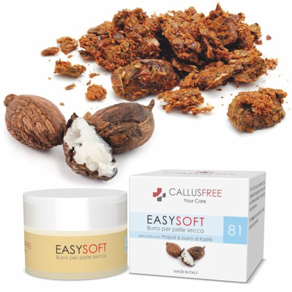EASYSOFT - immagine 2